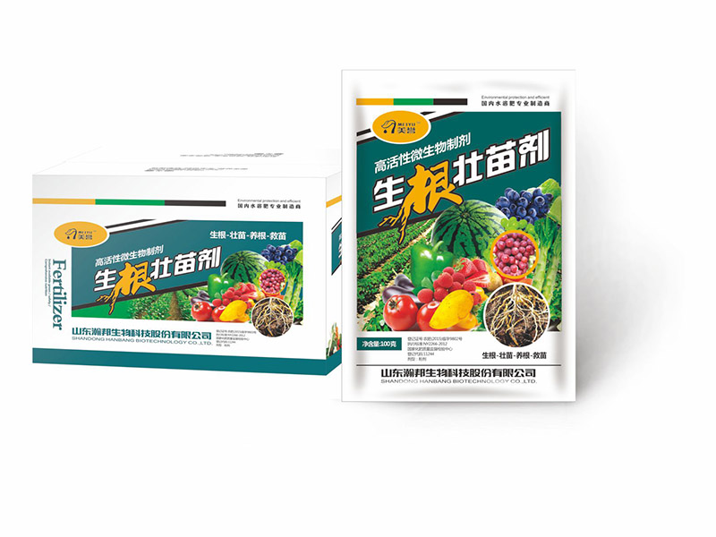 生根壮苗剂
