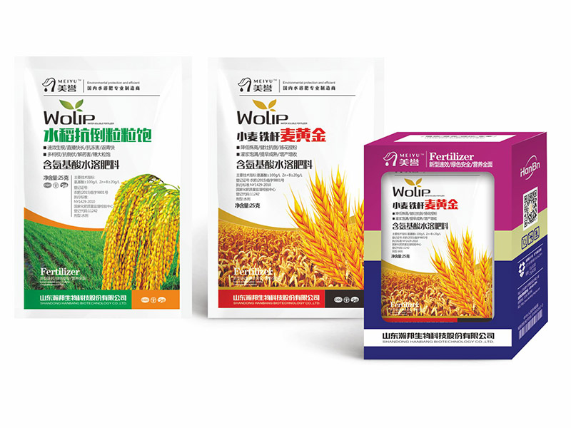 小麦铁秆麦黄金