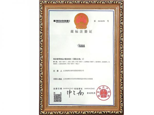 资质证书