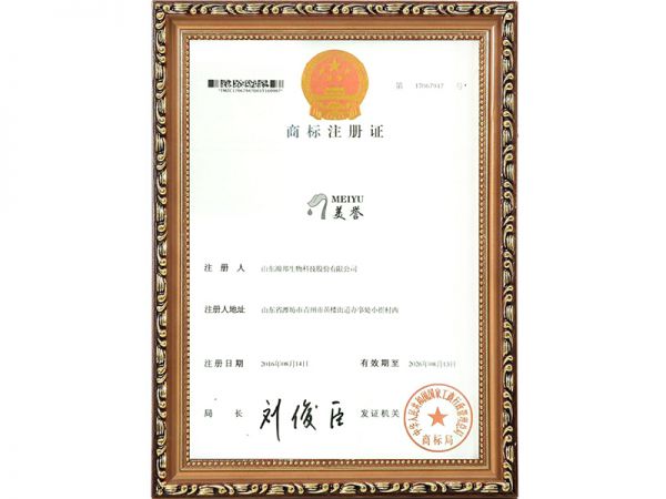 资质证书
