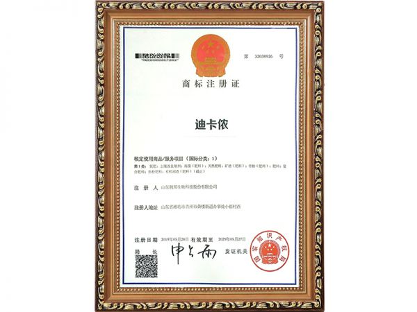 资质证书